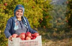 ELITE DON OLAYLARINDAN FAZLA ETKİLENMEDİK