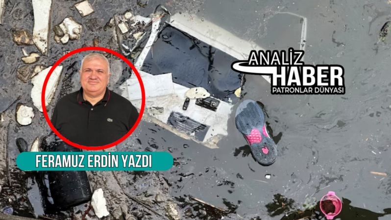 Hudson Nehri’ne düşen helikopterde, Siemens CEO’sunu ihmal mi öldürdü?