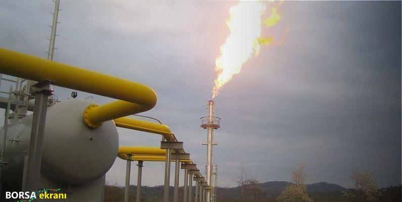 Şubatta güç tablomuz: Doğal gazda artış, petrolde durağanlık