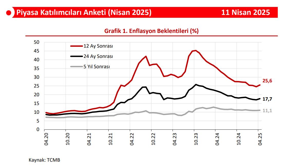 TAHLİL:  TCMB Anketi ne diyor?