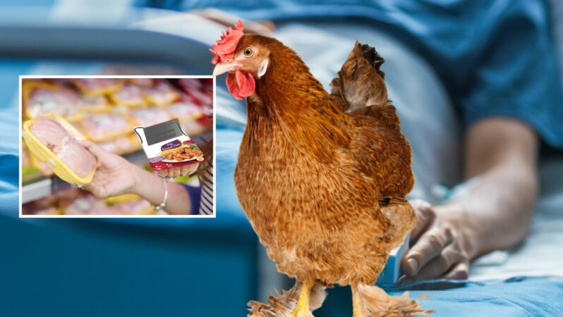 Türkiye’nin en büyük tavuk üreticisindeki ölümcül listeria bakterisi için sadece 210 bin lira ceza kesildi