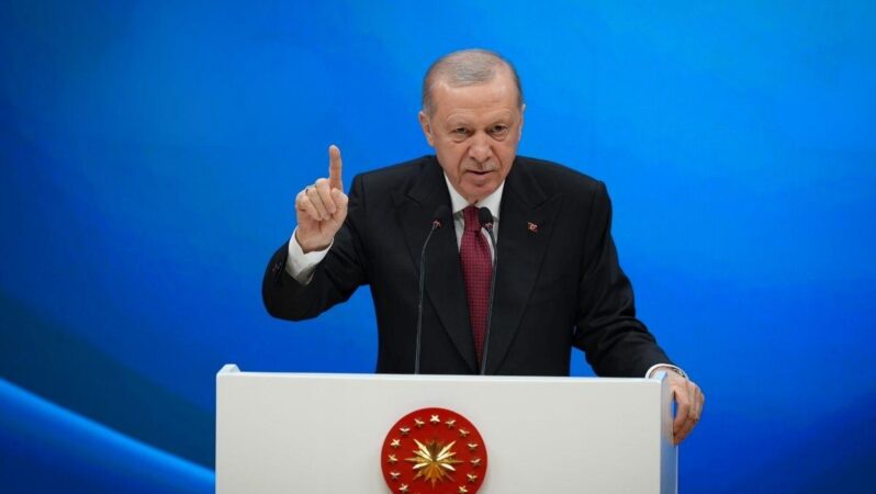 Cumhurbaşkanı Erdoğan: Birkaç cılız ses kesilecek, iktisat ayağa kalkacak