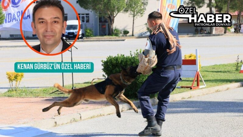 Jandarma’nın asayiş köpeği Tırmar’dan aksiyon sinemalarını aratmayan şov