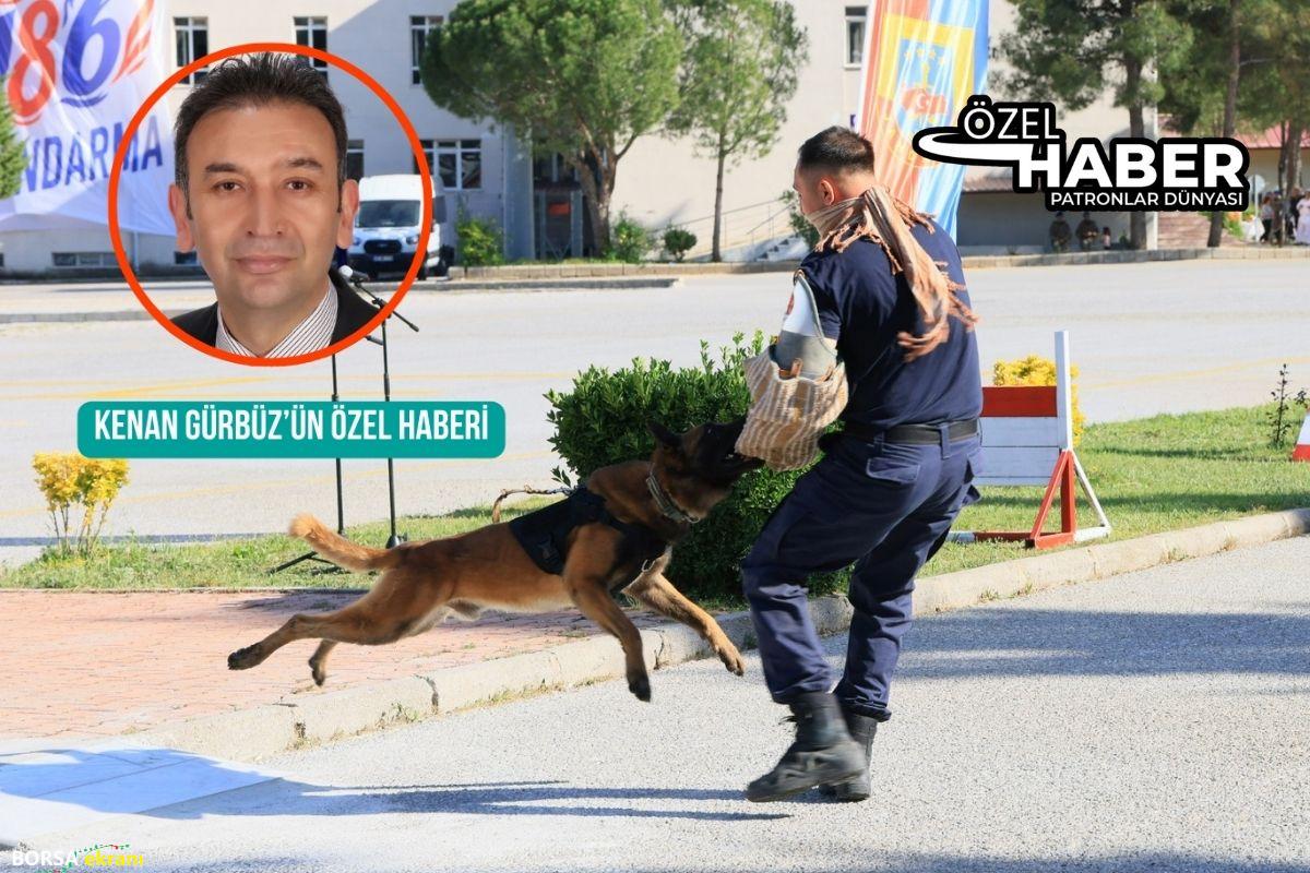 Jandarma’nın asayiş köpeği Tırmar’dan aksiyon sinemalarını aratmayan şov