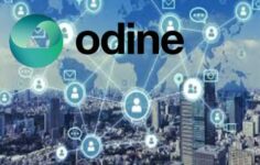 Odine Solutions Teknoloji Analist Notları