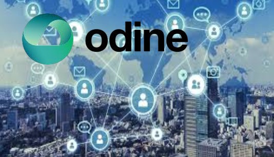 Odine Solutions Teknoloji Analist Notları