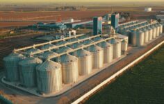 Grainturk Holding’den 260 Milyon Dolarlık Yatırım Görüşmesi