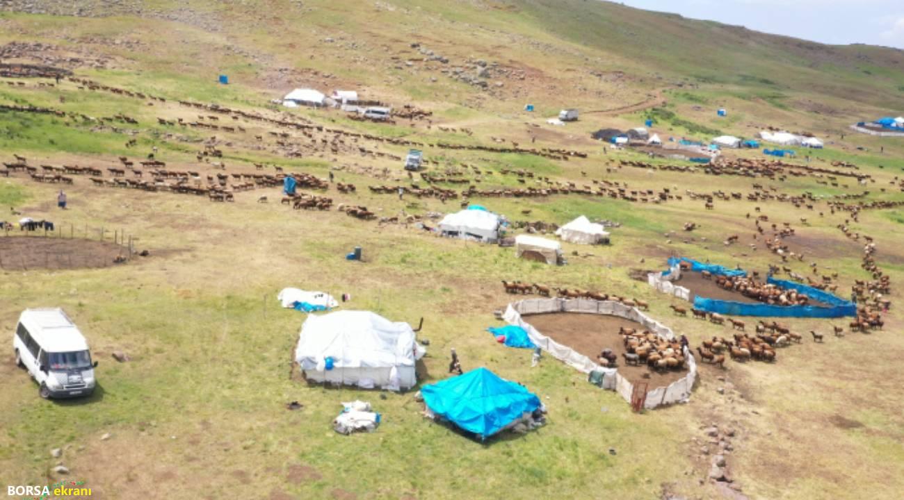 371 yaylaya yerleşen göçer aileler yazı çadırlarda geçiriyor