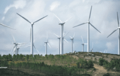 Tatlıpınar Enerji’den %300 Bedelsiz Sermaye Artırımı Kararı