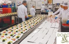 DO & CO’dan Hisse Başına 2 Euro Temettü Önerisi