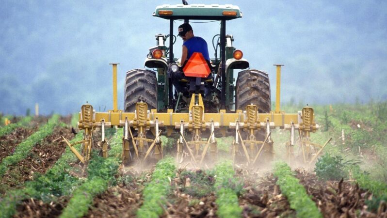 Tarım-ÜFE Mayıs 2025: Tropikal Meyveler Uçtu, Sebzeler Düştü