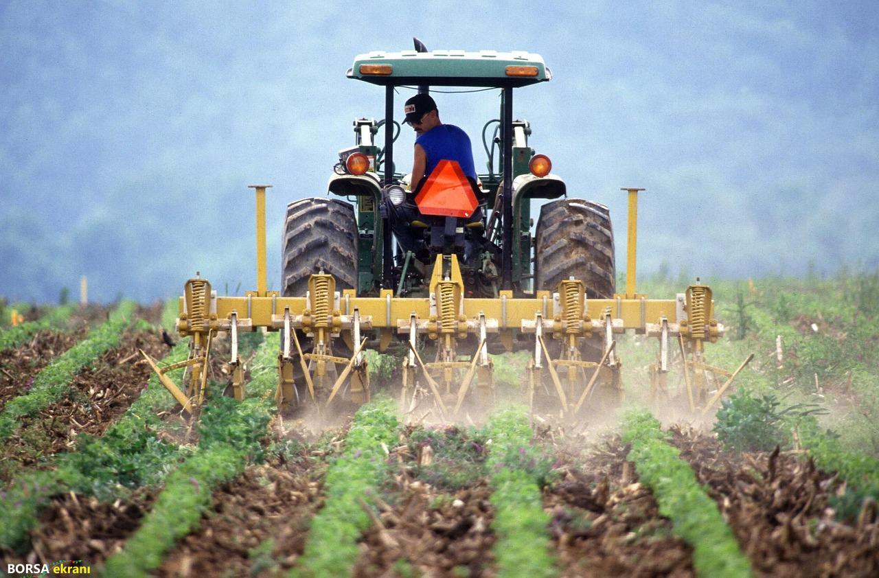 Tarım-ÜFE Mayıs 2025: Tropikal Meyveler Uçtu, Sebzeler Düştü