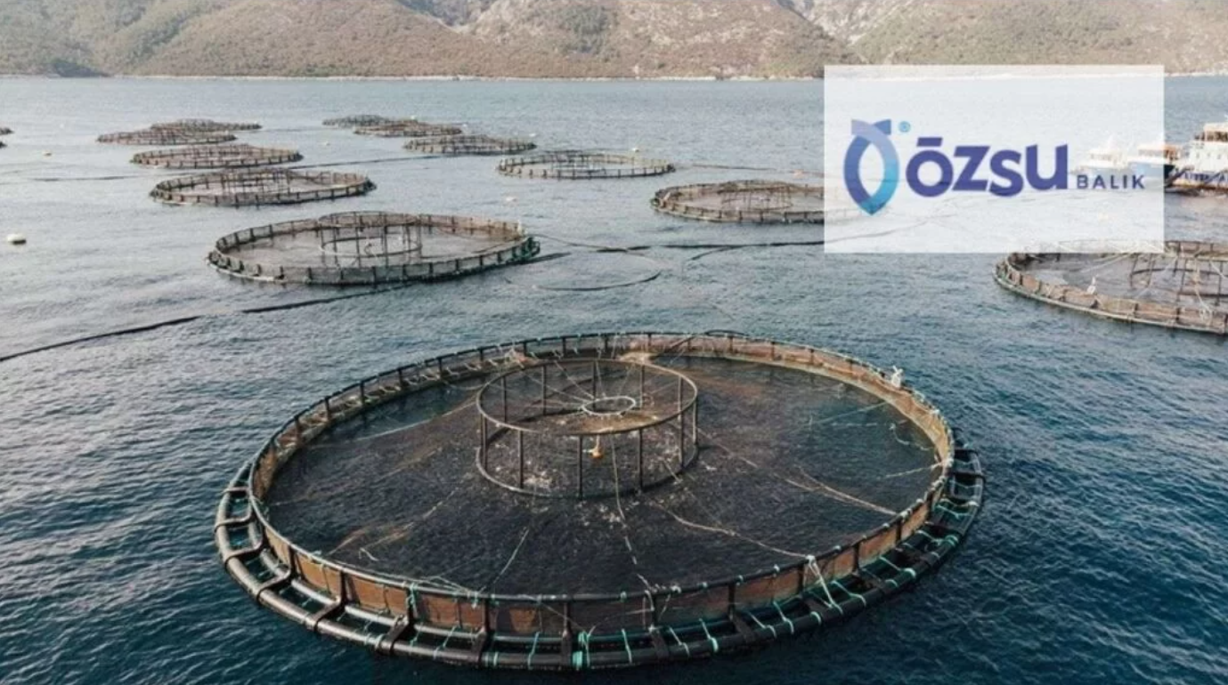 Özsu Balık’tan Yangın Haberlerine Yalanlama