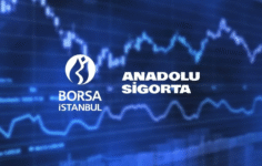 ANSGR’nin 2025 İlk Yarı Brüt Prim Üretimi %41 Arttı