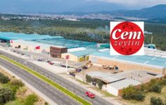 CEMZY 869 Bin Pay Topladı