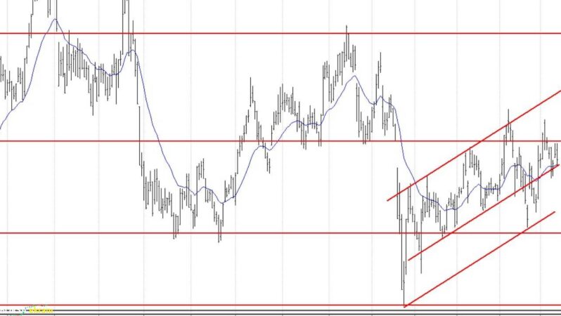 Aselsan, BİM, Enka, Ford… BIST 100 hisselerinin teknik analizi
