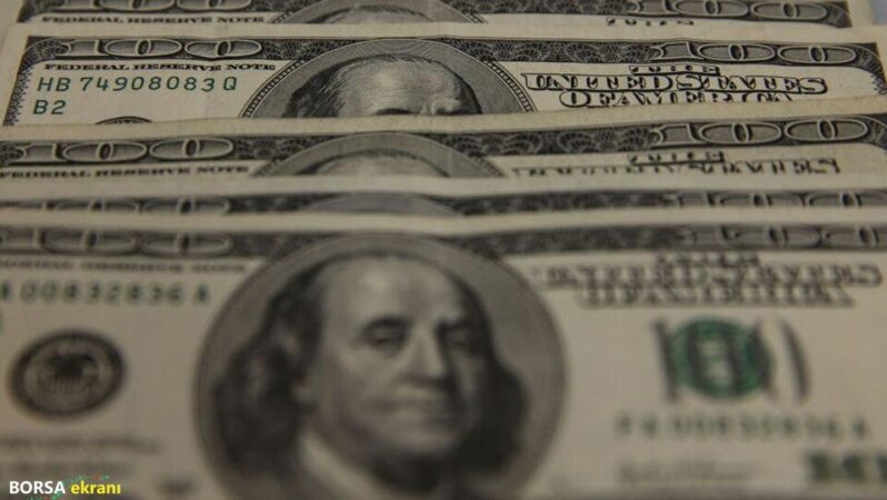 Döviz mevduatları 2 haftada 3,3 milyar dolar arttı
