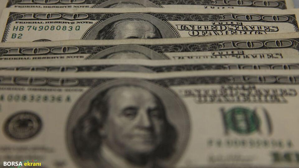Döviz mevduatları 2 haftada 3,3 milyar dolar arttı