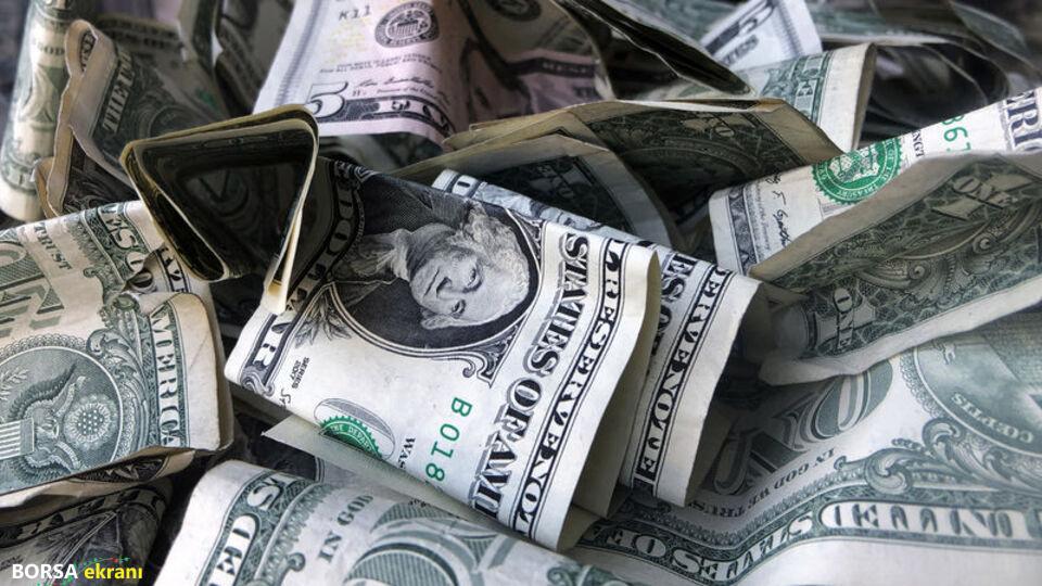 Döviz mevduatları 4,1 milyar dolar azaldı