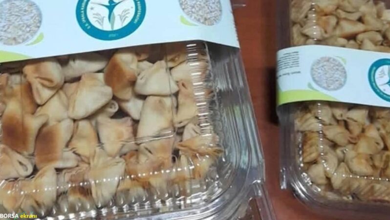 Edirne İpsala’da yapılıyor: Patent aldı