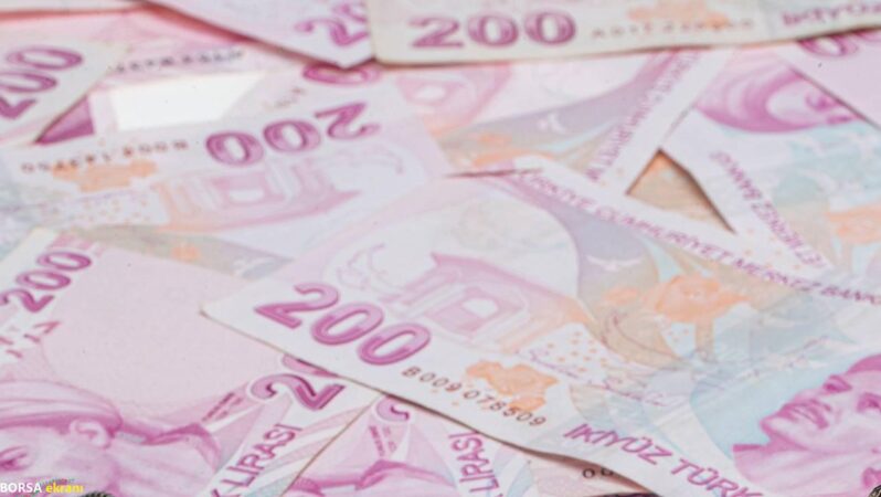Ekonomi yönetimi başarılı olabildi mi?