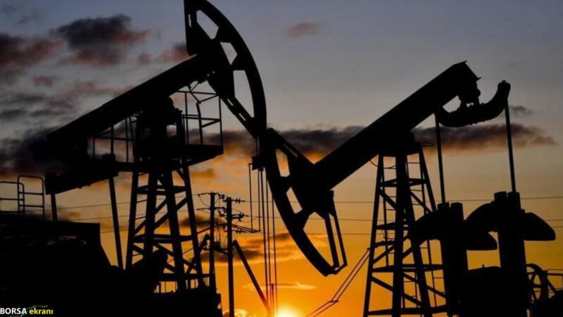 Petrol fiyatı enflasyonu nasıl etkileyecek? Merkez Bankası analizi