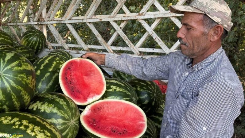Toptan fiyatı üreticiyi kara kara düşündürüyor