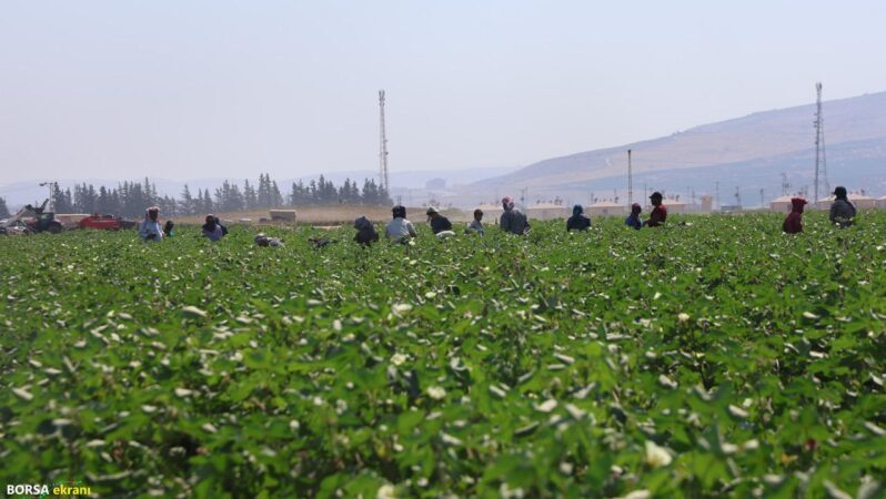 650 liraya kavurucu sıcak altında mesai