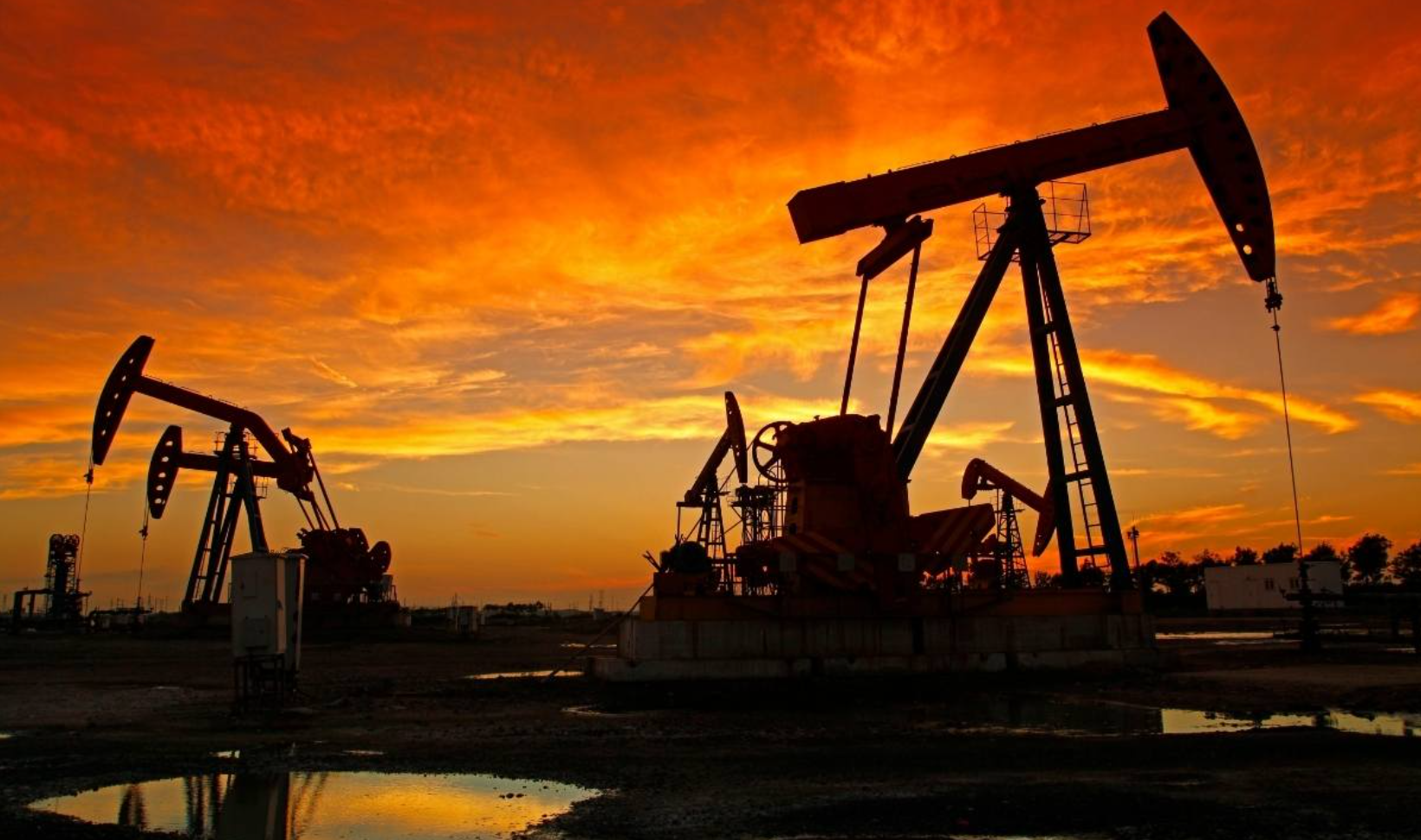 OPEC+ üretimi hızla artırıyor