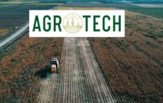 Agrotech, İtalya’da 12 MWp Agro-PV Yatırımı İçin Şirket Kurdu
