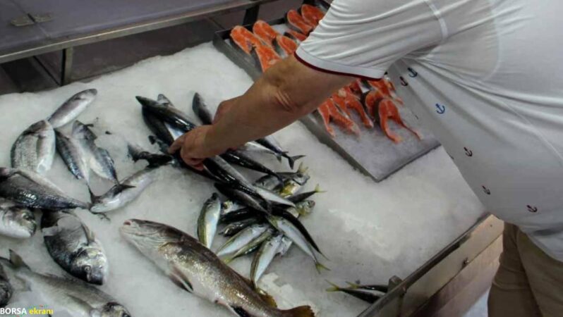 Bu yıl palamut bekleyenlere kötü haber