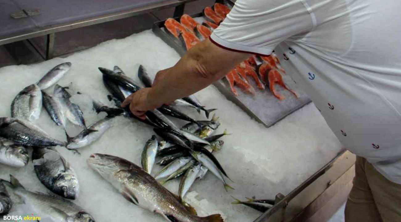 Bu yıl palamut bekleyenlere kötü haber