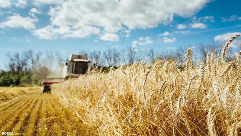 Çiftçinin enflasyonu belli oldu: Tarım ÜFE temmuzda azaldı!