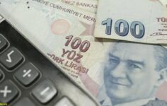 E-Devlet’ten ücretsiz Kredi Risk durumu nasıl sorgulanır?