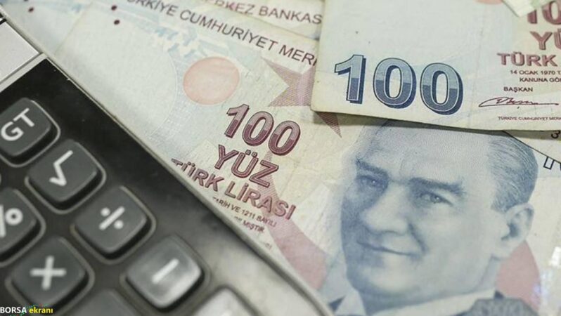 E-Devlet’ten ücretsiz Kredi Risk durumu nasıl sorgulanır?
