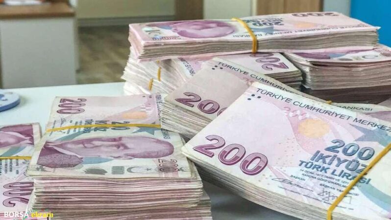 Hazine nakit dengesi Temmuz’da 68,5 milyar TL açık verdi