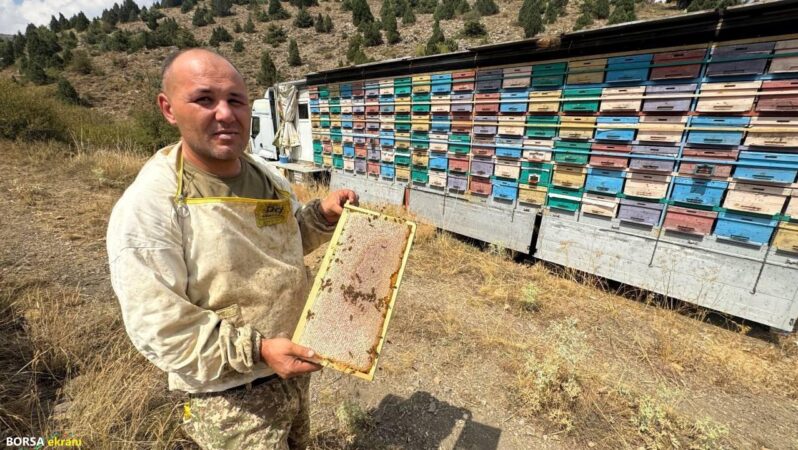 Mobil tır ile bal üretiyor, kovanları karış karış gezdiriyor