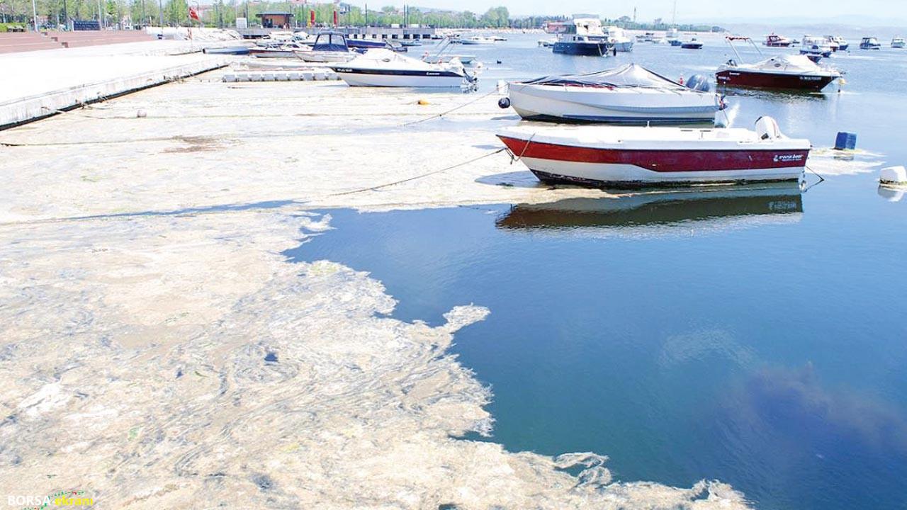 Önce müsilajı temizledi sonra gübreye dönüştürdü