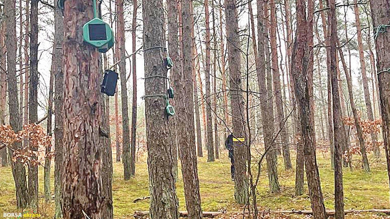 “Ormanları yangına karşı ‘ağaç perisi’yle koruyalım”