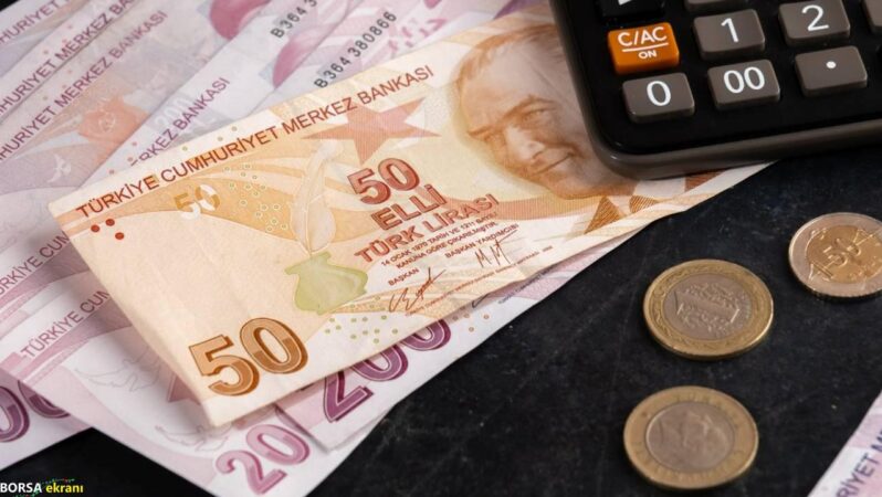Temmuzda en çok kazandıran yatırım aracı belli oldu