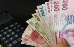 TL’in reel değeri temmuzda da geriledi