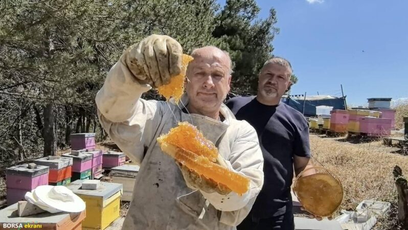 Bursa’da üretilen bu bal her derde deva