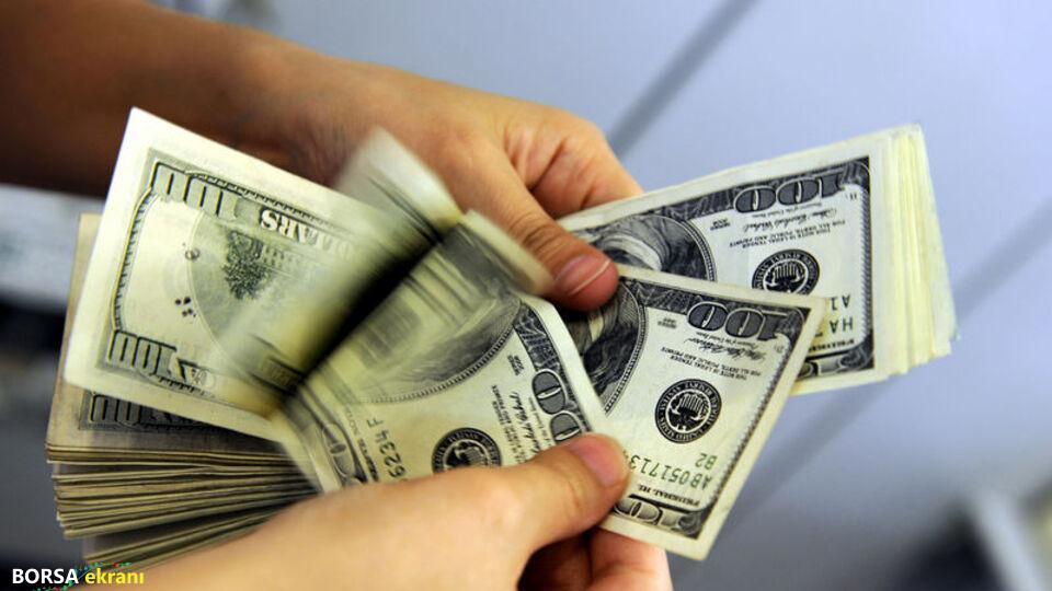 Döviz mevduatlarında 2,8 milyar dolarlık artış
