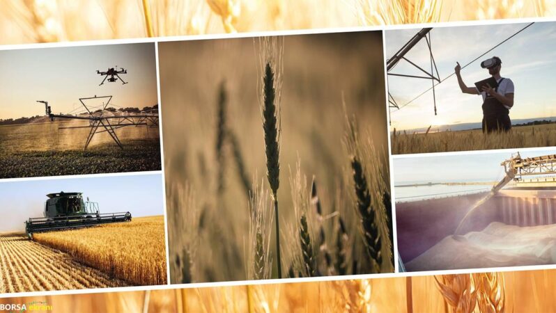İşlemsiz ve dijital tarım geleceğe yön veriyor