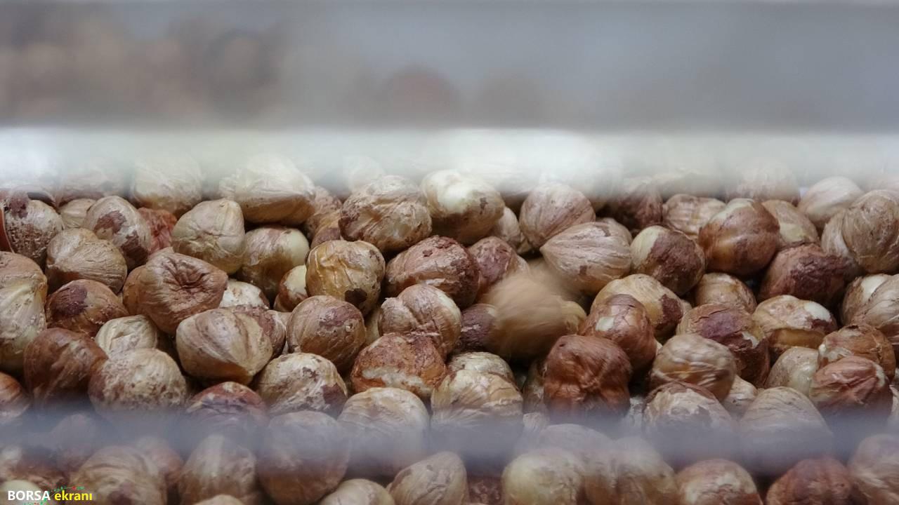 Karadeniz’de fındık hasadı tamamlandı! Sırada kırma ve kavurma var