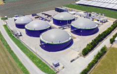 Ecogreen Enerji Halka Arz Ediliyor