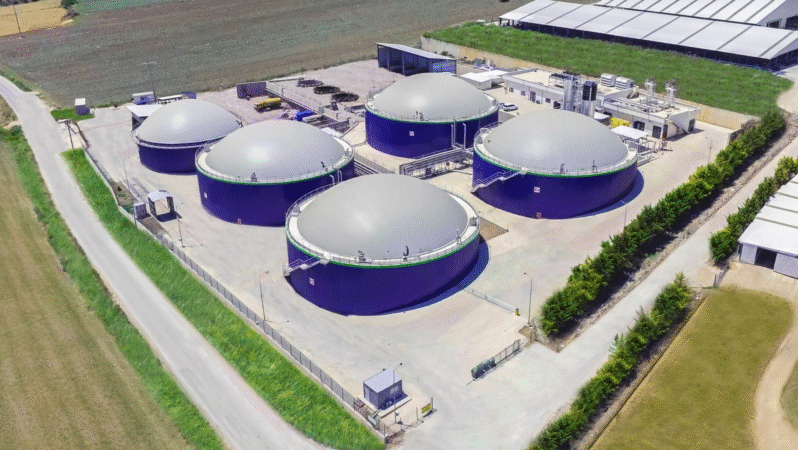 Ecogreen Enerji Halka Arz Ediliyor