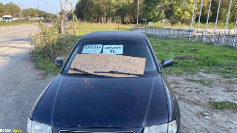 Arabasını 10 çuval fındığa satıyor