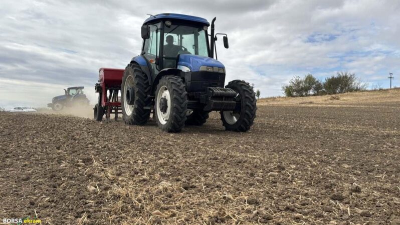 Ayçiçeğinden verim alamayan üretici kanolaya yöneldi