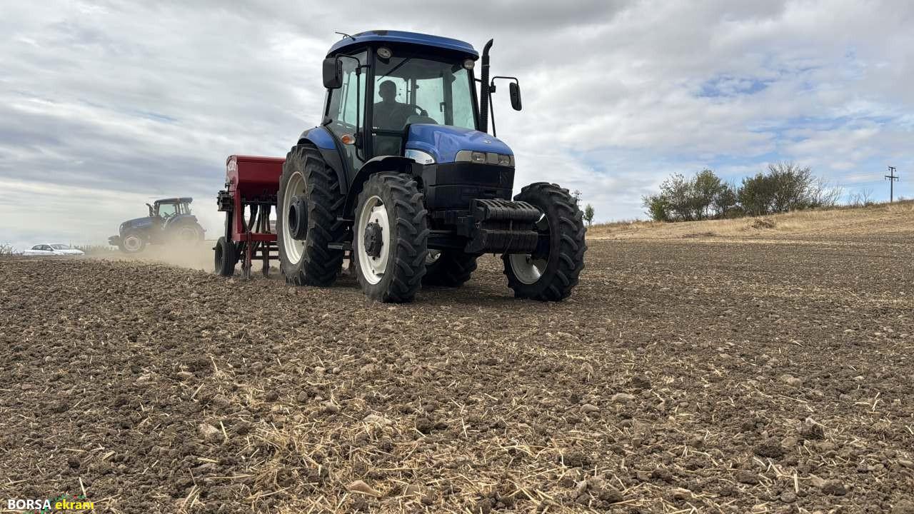 Ayçiçeğinden verim alamayan üretici kanolaya yöneldi